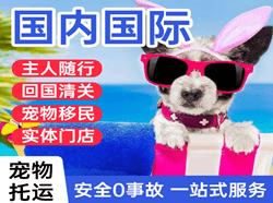 柳州白莲机场快递国际宠物托运 【国